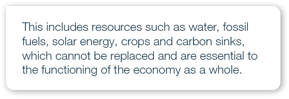This includes resources such as water, fossil fuels, solar energy, crops and carbon sinks, which cannot be replaced a...